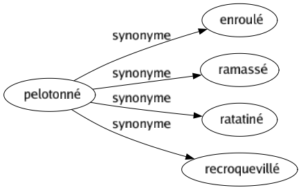 Synonyme de Pelotonné : Enroulé Ramassé Ratatiné Recroquevillé 