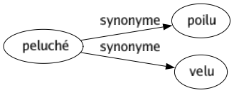 Synonyme de Peluché : Poilu Velu 