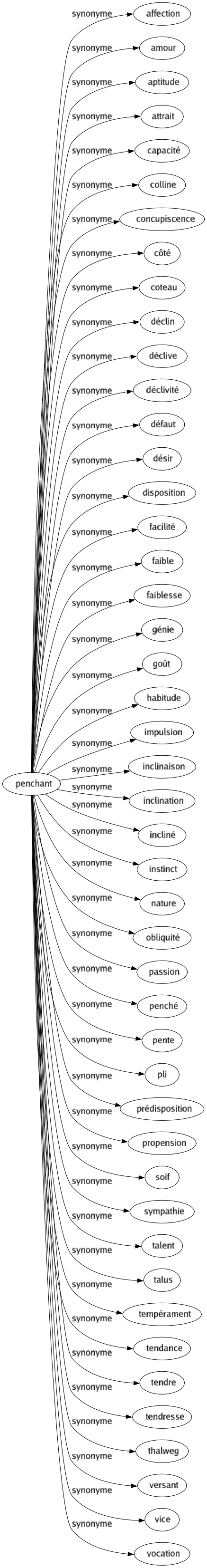 Synonyme de Penchant : Affection Amour Aptitude Attrait Capacité Colline Concupiscence Côté Coteau Déclin Déclive Déclivité Défaut Désir Disposition Facilité Faible Faiblesse Génie Goût Habitude Impulsion Inclinaison Inclination Incliné Instinct Nature Obliquité Passion Penché Pente Pli Prédisposition Propension Soif Sympathie Talent Talus Tempérament Tendance Tendre Tendresse Thalweg Versant Vice Vocation 