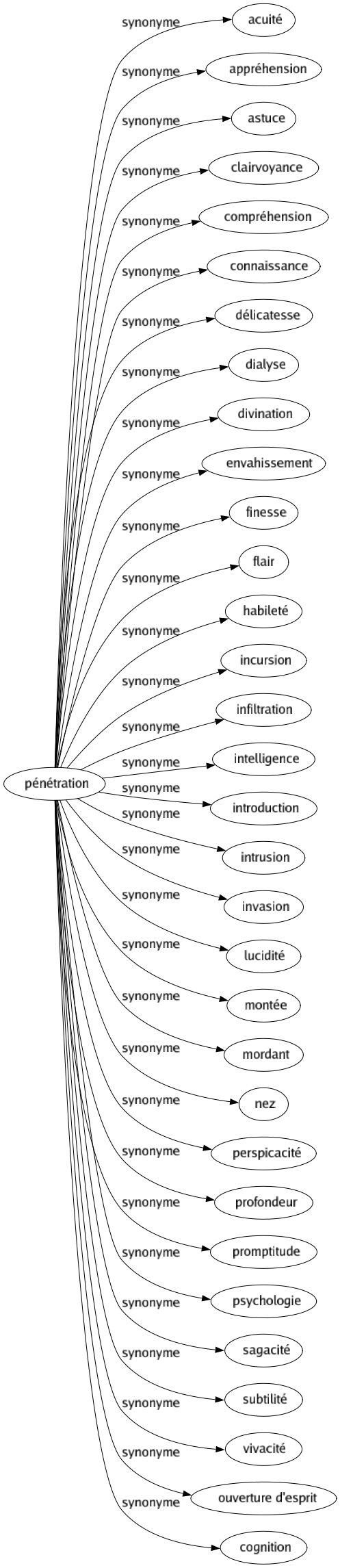 Synonyme de Pénétration : Acuité Appréhension Astuce Clairvoyance Compréhension Connaissance Délicatesse Dialyse Divination Envahissement Finesse Flair Habileté Incursion Infiltration Intelligence Introduction Intrusion Invasion Lucidité Montée Mordant Nez Perspicacité Profondeur Promptitude Psychologie Sagacité Subtilité Vivacité Ouverture d'esprit Cognition 
