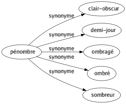 Synonyme de Pénombre : Clair-obscur Demi-jour Ombragé Ombré Sombreur 