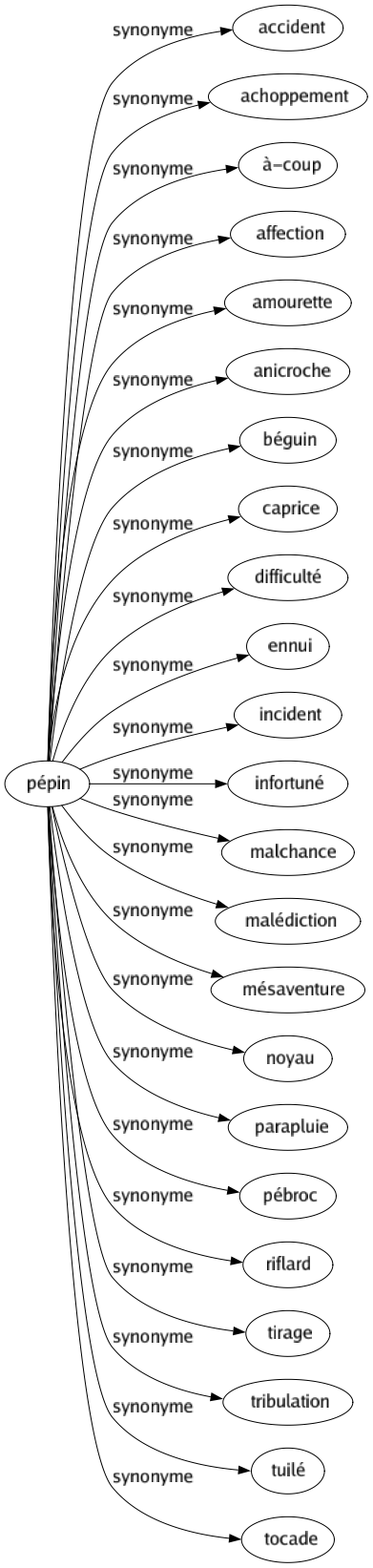 Synonyme de Pépin : Accident Achoppement À-coup Affection Amourette Anicroche Béguin Caprice Difficulté Ennui Incident Infortuné Malchance Malédiction Mésaventure Noyau Parapluie Pébroc Riflard Tirage Tribulation Tuilé Tocade 