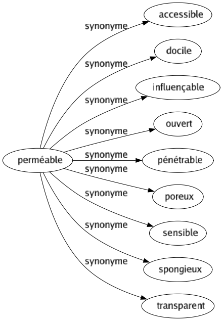 Synonyme de Perméable : Accessible Docile Influençable Ouvert Pénétrable Poreux Sensible Spongieux Transparent 