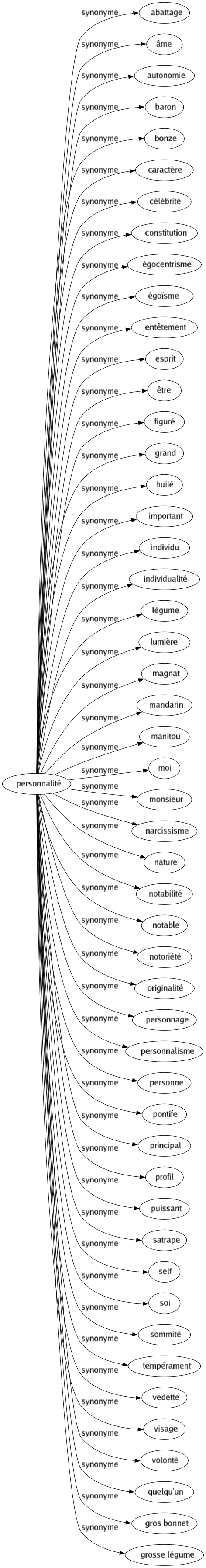 Synonyme de Personnalité : Abattage Âme Autonomie Baron Bonze Caractère Célébrité Constitution Égocentrisme Égoïsme Entêtement Esprit Être Figuré Grand Huilé Important Individu Individualité Légume Lumière Magnat Mandarin Manitou Moi Monsieur Narcissisme Nature Notabilité Notable Notoriété Originalité Personnage Personnalisme Personne Pontife Principal Profil Puissant Satrape Self Soi Sommité Tempérament Vedette Visage Volonté Quelqu'un Gros bonnet Grosse légume 