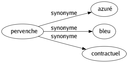 Synonyme de Pervenche : Azuré Bleu Contractuel 