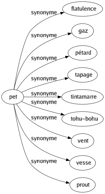 Synonyme de Pet : Flatulence Gaz Pétard Tapage Tintamarre Tohu-bohu Vent Vesse Prout 