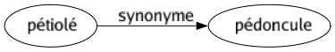 Synonyme de Pétiolé : Pédoncule 
