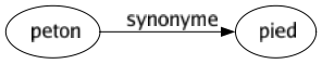 Synonyme de Peton : Pied 
