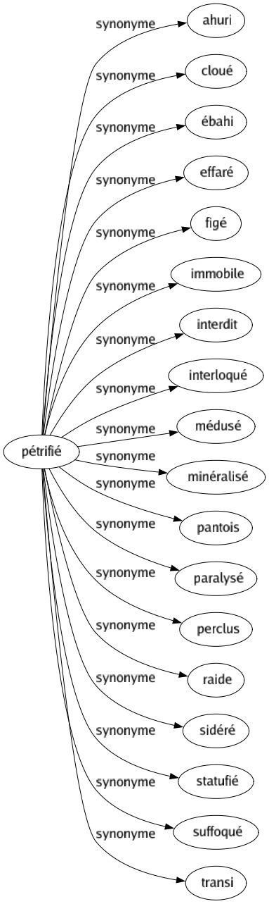 Synonyme de Pétrifié : Ahuri Cloué Ébahi Effaré Figé Immobile Interdit Interloqué Médusé Minéralisé Pantois Paralysé Perclus Raide Sidéré Statufié Suffoqué Transi 