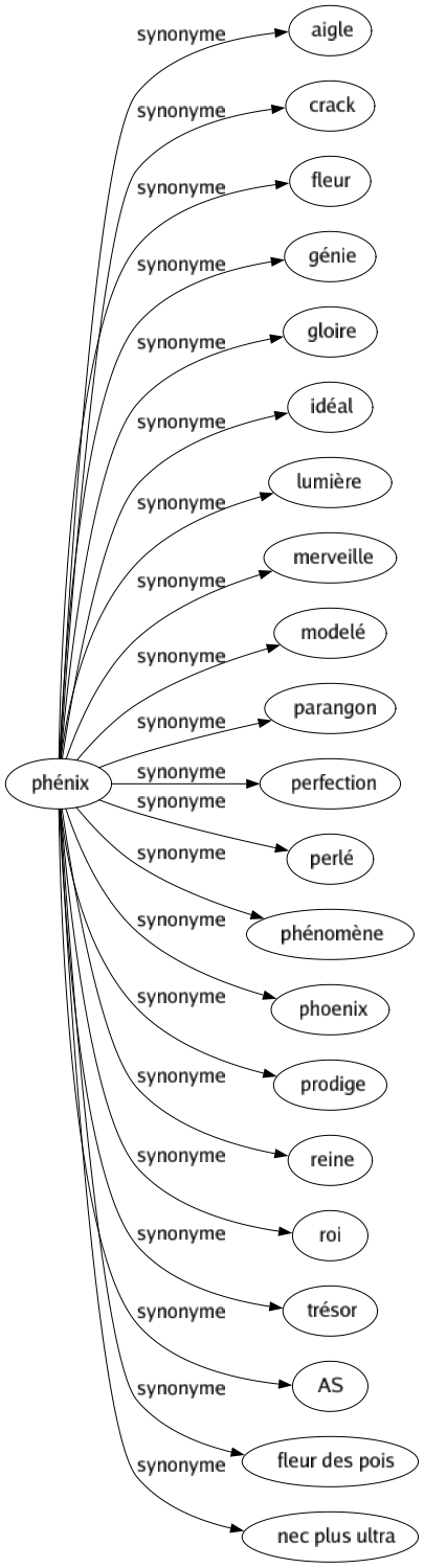 Synonyme de Phénix : Aigle Crack Fleur Génie Gloire Idéal Lumière Merveille Modelé Parangon Perfection Perlé Phénomène Phoenix Prodige Reine Roi Trésor As Fleur des pois Nec plus ultra 