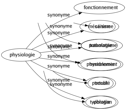 Synonyme de Physiologie : Fonctionnement Mécanisme Pathologie Physionomie Portrait Typologie 