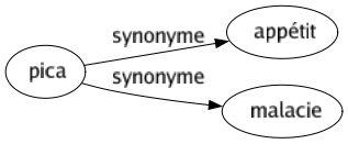 Synonyme de Pica : Appétit Malacie 