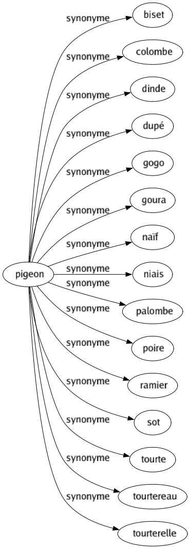 Synonyme de Pigeon : Biset Colombe Dinde Dupé Gogo Goura Naïf Niais Palombe Poire Ramier Sot Tourte Tourtereau Tourterelle 
