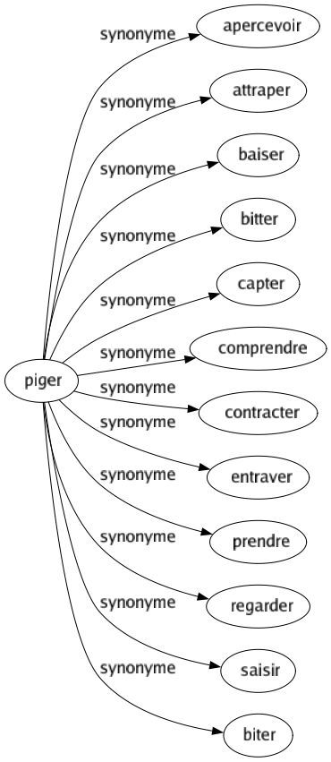 Synonyme de Piger : Apercevoir Attraper Baiser Bitter Capter Comprendre Contracter Entraver Prendre Regarder Saisir Biter 