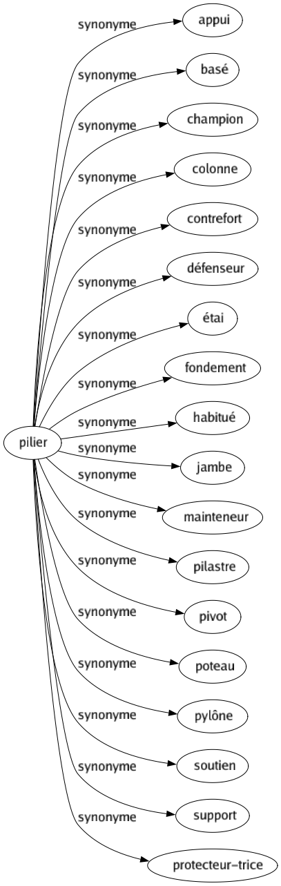 Synonyme de Pilier : Appui Basé Champion Colonne Contrefort Défenseur Étai Fondement Habitué Jambe Mainteneur Pilastre Pivot Poteau Pylône Soutien Support Protecteur-trice 