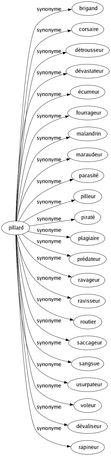 Synonyme de Pillard : Brigand Corsaire Détrousseur Dévastateur Écumeur Fourrageur Malandrin Maraudeur Parasité Pilleur Piraté Plagiaire Prédateur Ravageur Ravisseur Routier Saccageur Sangsue Usurpateur Voleur Dévaliseur Rapineur 