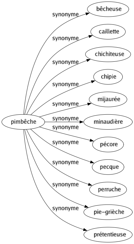 Synonyme de Pimbêche : Bêcheuse Caillette Chichiteuse Chipie Mijaurée Minaudière Pécore Pecque Perruche Pie-grièche Prétentieuse 
