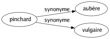 Synonyme de Pinchard : Aubère Vulgaire 