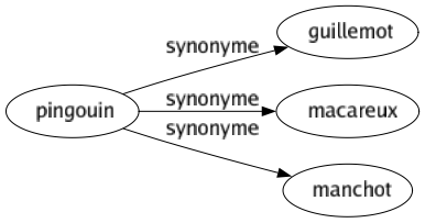 Synonyme de Pingouin : Guillemot Macareux Manchot 