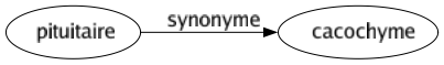 Synonyme de Pituitaire : Cacochyme 