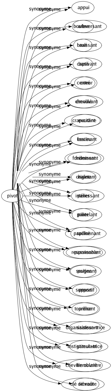 Synonyme de Pivot : Appui Arbre Axé Basé Centré Chevillé Crapaudine Essieu Fondement Origine Palier Pilier Raciné Responsable Soutien Support Tourillon Organisateur-trice Instigateur-trice Cheville ouvrière Clé de voûte 