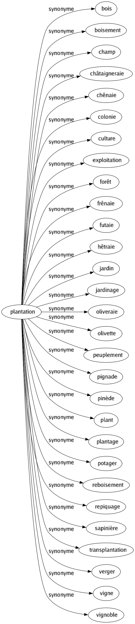 Synonyme de Plantation : Bois Boisement Champ Châtaigneraie Chênaie Colonie Culture Exploitation Forêt Frênaie Futaie Hêtraie Jardin Jardinage Oliveraie Olivette Peuplement Pignade Pinède Plant Plantage Potager Reboisement Repiquage Sapinière Transplantation Verger Vigne Vignoble 