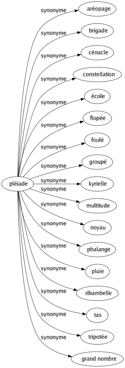 Synonyme de Pléiade : Aréopage Brigade Cénacle Constellation École Flopée Foulé Groupé Kyrielle Multitude Noyau Phalange Pluie Ribambelle Tas Tripotée Grand nombre 