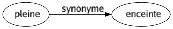 Synonyme de Pleine : Enceinte 