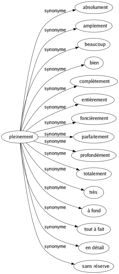 Synonyme de Pleinement : Absolument Amplement Beaucoup Bien Complètement Entièrement Foncièrement Parfaitement Profondément Totalement Très À fond Tout à fait En détail Sans réserve 