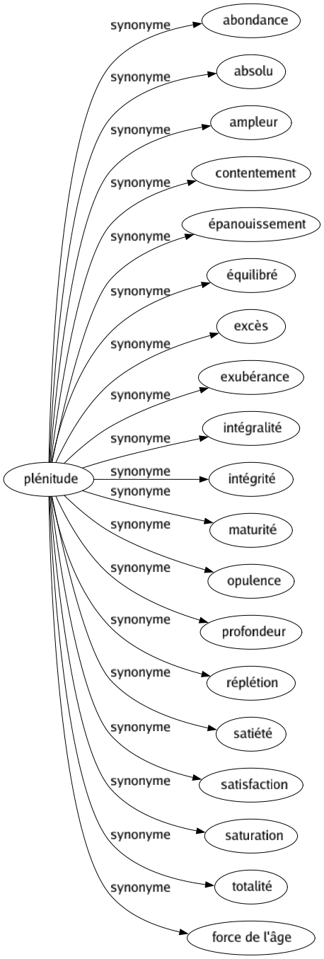 Synonyme de Plénitude : Abondance Absolu Ampleur Contentement Épanouissement Équilibré Excès Exubérance Intégralité Intégrité Maturité Opulence Profondeur Réplétion Satiété Satisfaction Saturation Totalité Force de l'âge 