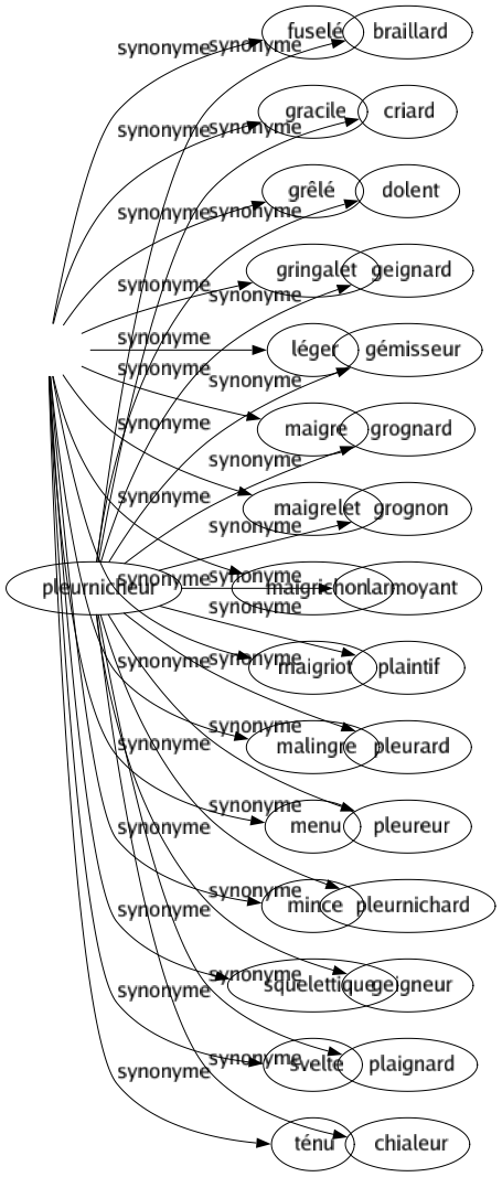 Synonyme de Pleurnicheur : Braillard Criard Dolent Geignard Gémisseur Grognard Grognon Larmoyant Plaintif Pleurard Pleureur Pleurnichard Geigneur Plaignard Chialeur 