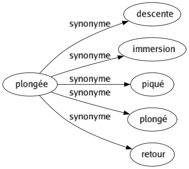 Synonyme de Plongée : Descente Immersion Piqué Plongé Retour 
