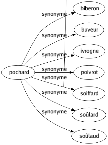 Synonyme de Pochard : Biberon Buveur Ivrogne Poivrot Soiffard Soûlard Soûlaud 