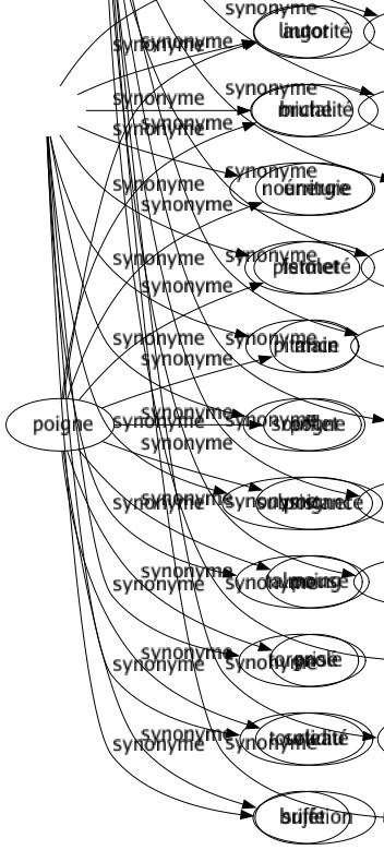 Synonyme de Poigne : Autorité Brutalité Énergie Fermeté Main Pogne Poignet Poing Prisé Solidité Sujétion 