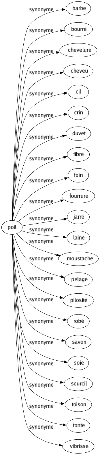Synonyme de Poil : Barbe Bourré Chevelure Cheveu Cil Crin Duvet Fibre Foin Fourrure Jarre Laine Moustache Pelage Pilosité Robé Savon Soie Sourcil Toison Tonte Vibrisse 