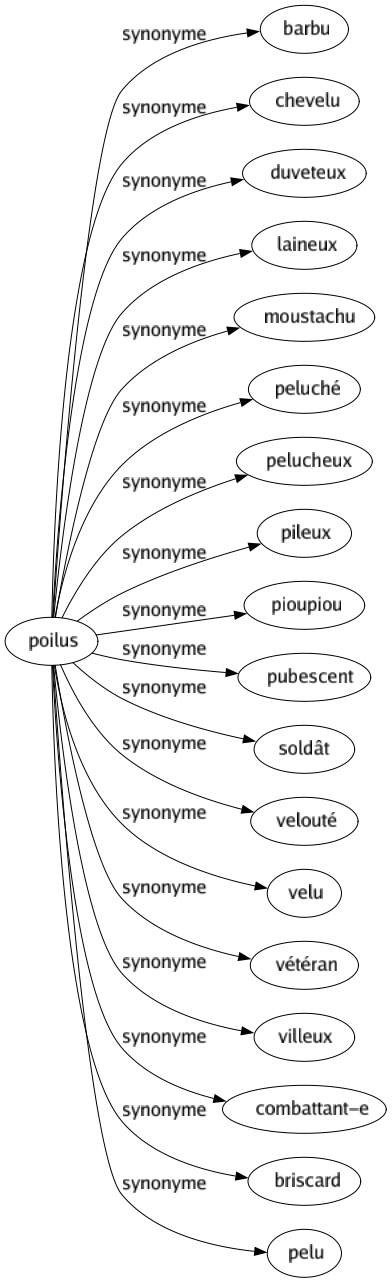 Synonyme de Poilus : Barbu Chevelu Duveteux Laineux Moustachu Peluché Pelucheux Pileux Pioupiou Pubescent Soldât Velouté Velu Vétéran Villeux Combattant-e Briscard Pelu 