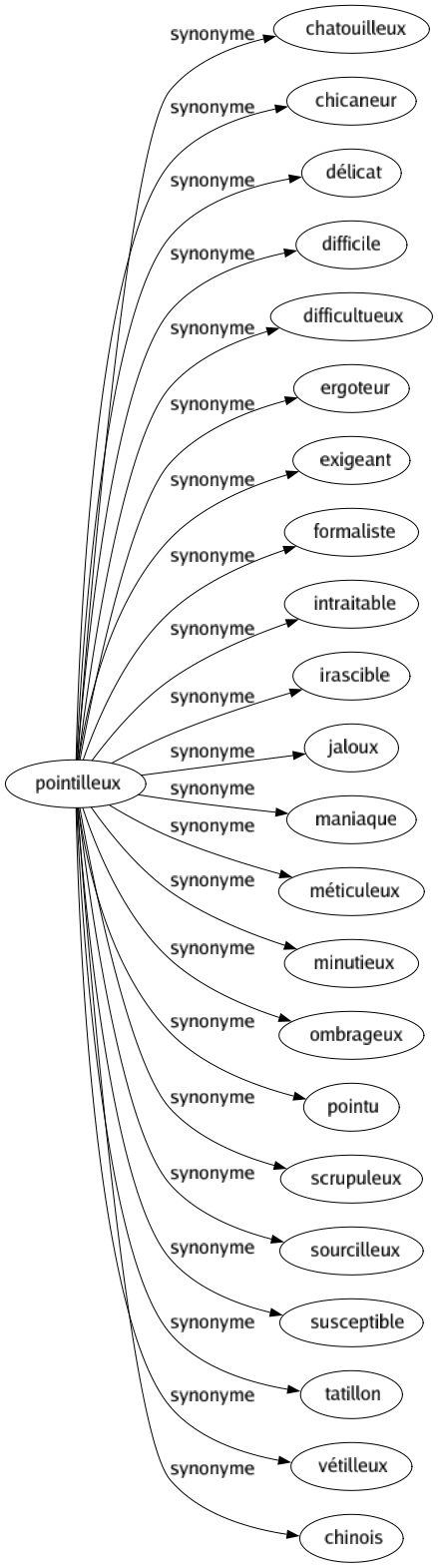 Synonyme de Pointilleux : Chatouilleux Chicaneur Délicat Difficile Difficultueux Ergoteur Exigeant Formaliste Intraitable Irascible Jaloux Maniaque Méticuleux Minutieux Ombrageux Pointu Scrupuleux Sourcilleux Susceptible Tatillon Vétilleux Chinois 