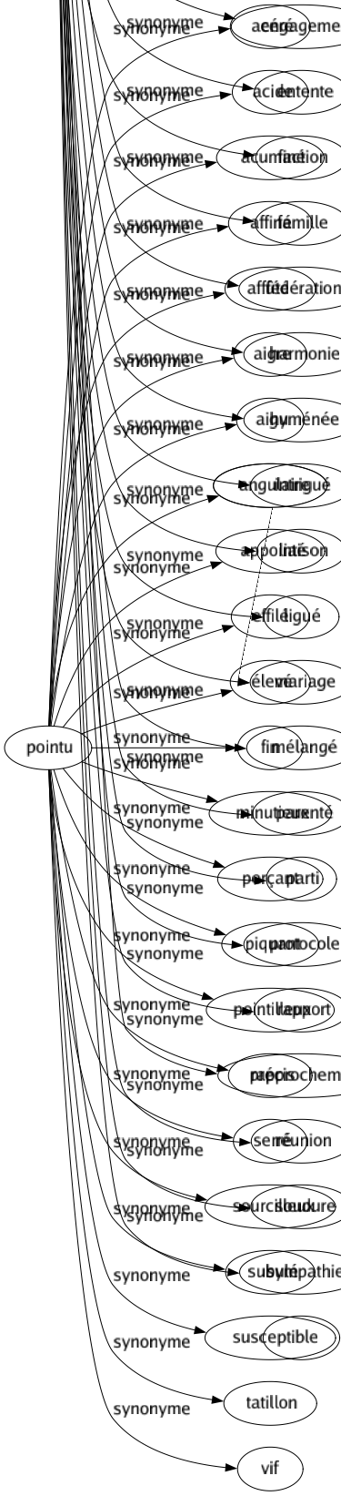 Synonyme de Pointu : Acéré Acide Acuminé Affiné Affûté Aigre Aigu Angulaire Appointé Effilé Élevé Fin Minutieux Perçant Piquant Pointilleux Précis Serré Sourcilleux Subulé Susceptible Tatillon Vif 