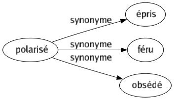 Synonyme de Polarisé : Épris Féru Obsédé 