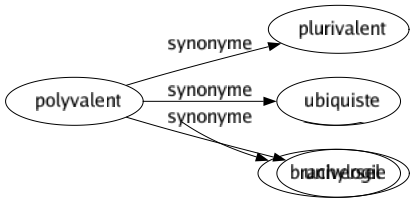 Synonyme de Polyvalent : Plurivalent Ubiquiste Universel 
