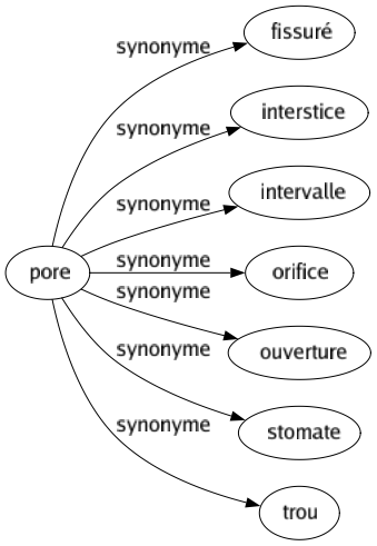 Synonyme de Pore : Fissuré Interstice Intervalle Orifice Ouverture Stomate Trou 