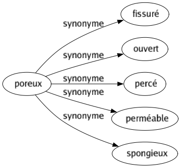 Synonyme de Poreux : Fissuré Ouvert Percé Perméable Spongieux 
