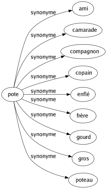 Synonyme de Pote : Ami Camarade Compagnon Copain Enflé Frère Gourd Gros Poteau 