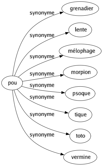 Synonyme de Pou : Grenadier Lente Mélophage Morpion Psoque Tique Toto Vermine 