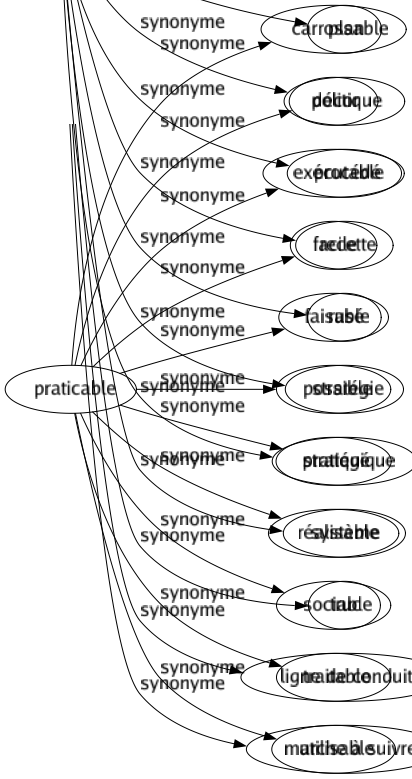 Synonyme de Praticable : Carrossable Décor Exécutable Facile Faisable Possible Pratiqué Réalisable Sociable Traitable Utilisable 
