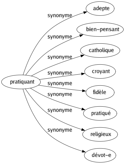 Synonyme de Pratiquant : Adepte Bien-pensant Catholique Croyant Fidèle Pratiqué Religieux Dévot-e 