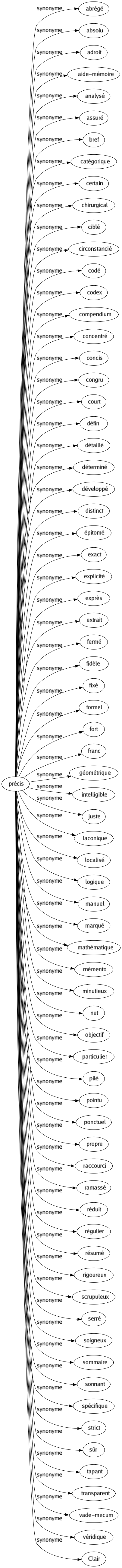 Synonyme de Précis : Abrégé Absolu Adroit Aide-mémoire Analysé Assuré Bref Catégorique Certain Chirurgical Ciblé Circonstancié Codé Codex Compendium Concentré Concis Congru Court Défini Détaillé Déterminé Développé Distinct Épitomé Exact Explicité Exprès Extrait Fermé Fidèle Fixé Formel Fort Franc Géométrique Intelligible Juste Laconique Localisé Logique Manuel Marqué Mathématique Mémento Minutieux Net Objectif Particulier Pilé Pointu Ponctuel Propre Raccourci Ramassé Réduit Régulier Résumé Rigoureux Scrupuleux Serré Soigneux Sommaire Sonnant Spécifique Strict Sûr Tapant Transparent Vade-mecum Véridique Clair 