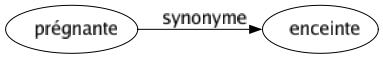 Synonyme de Prégnante : Enceinte 