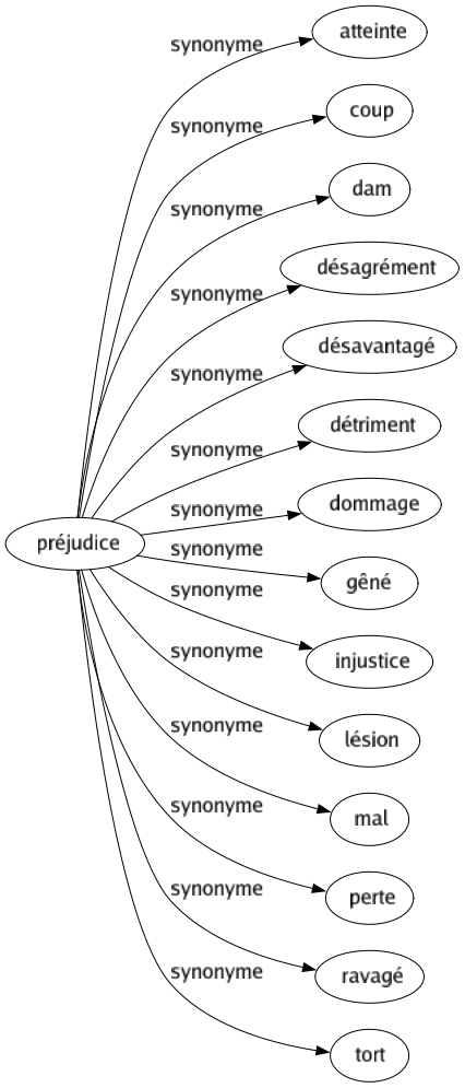 Synonyme de Préjudice : Atteinte Coup Dam Désagrément Désavantagé Détriment Dommage Gêné Injustice Lésion Mal Perte Ravagé Tort 