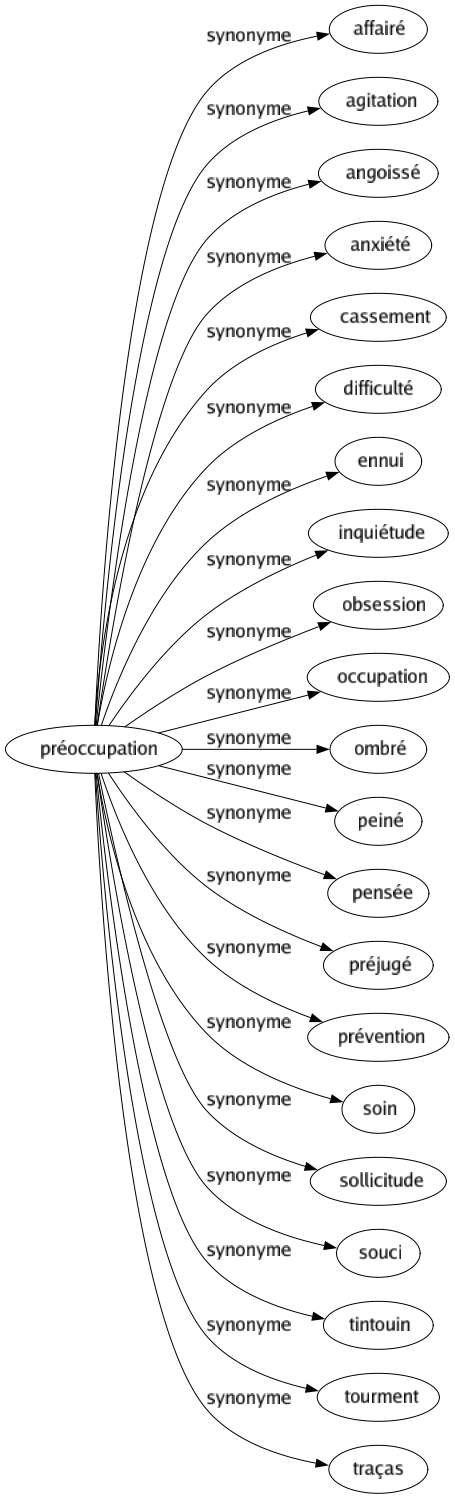 Synonyme de Préoccupation : Affairé Agitation Angoissé Anxiété Cassement Difficulté Ennui Inquiétude Obsession Occupation Ombré Peiné Pensée Préjugé Prévention Soin Sollicitude Souci Tintouin Tourment Traças 